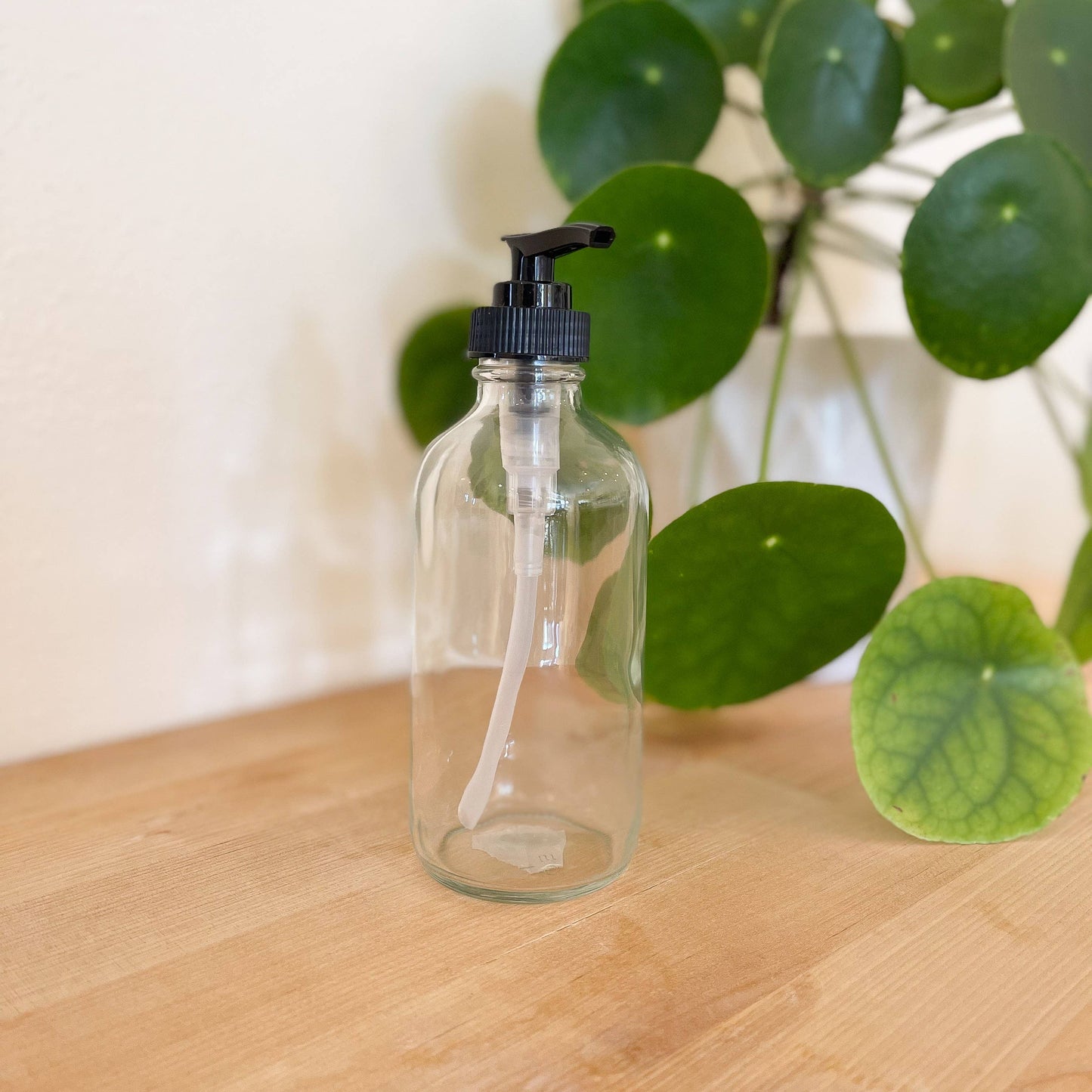 Re:Plenish Zero Waste - 8 oz Clear Glass Bottle Spray or Pump