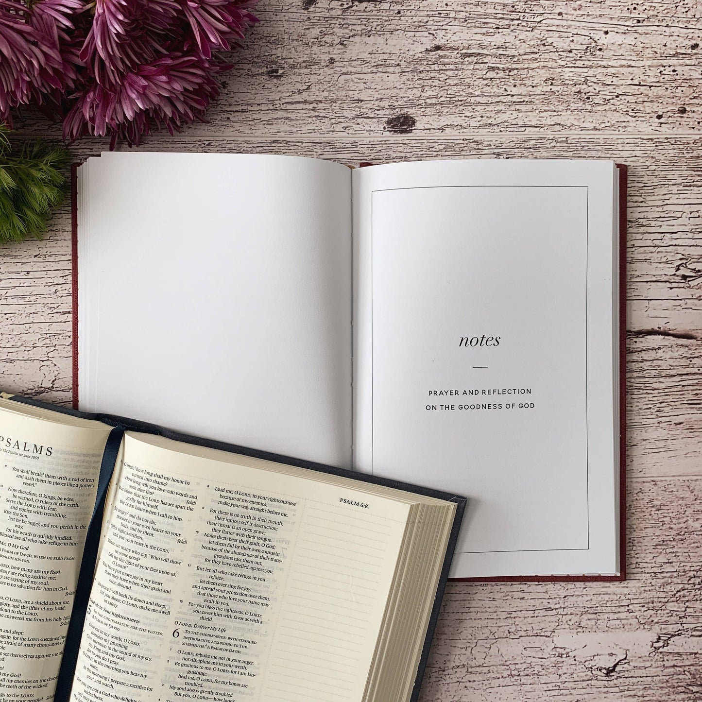 The Daily Grace Co - Scripture for Anxiety Journal