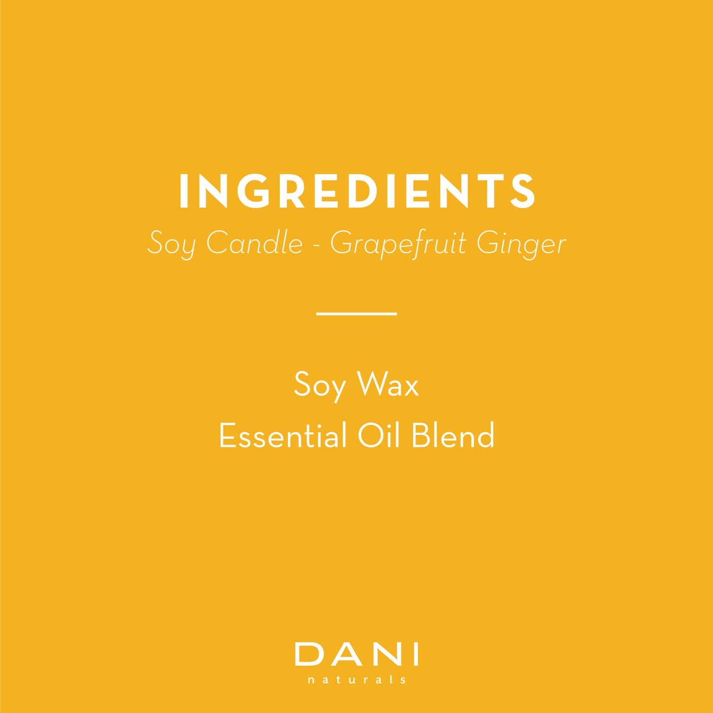 DANI Naturals - Grapefruit Ginger Travel Candle Tin 2oz