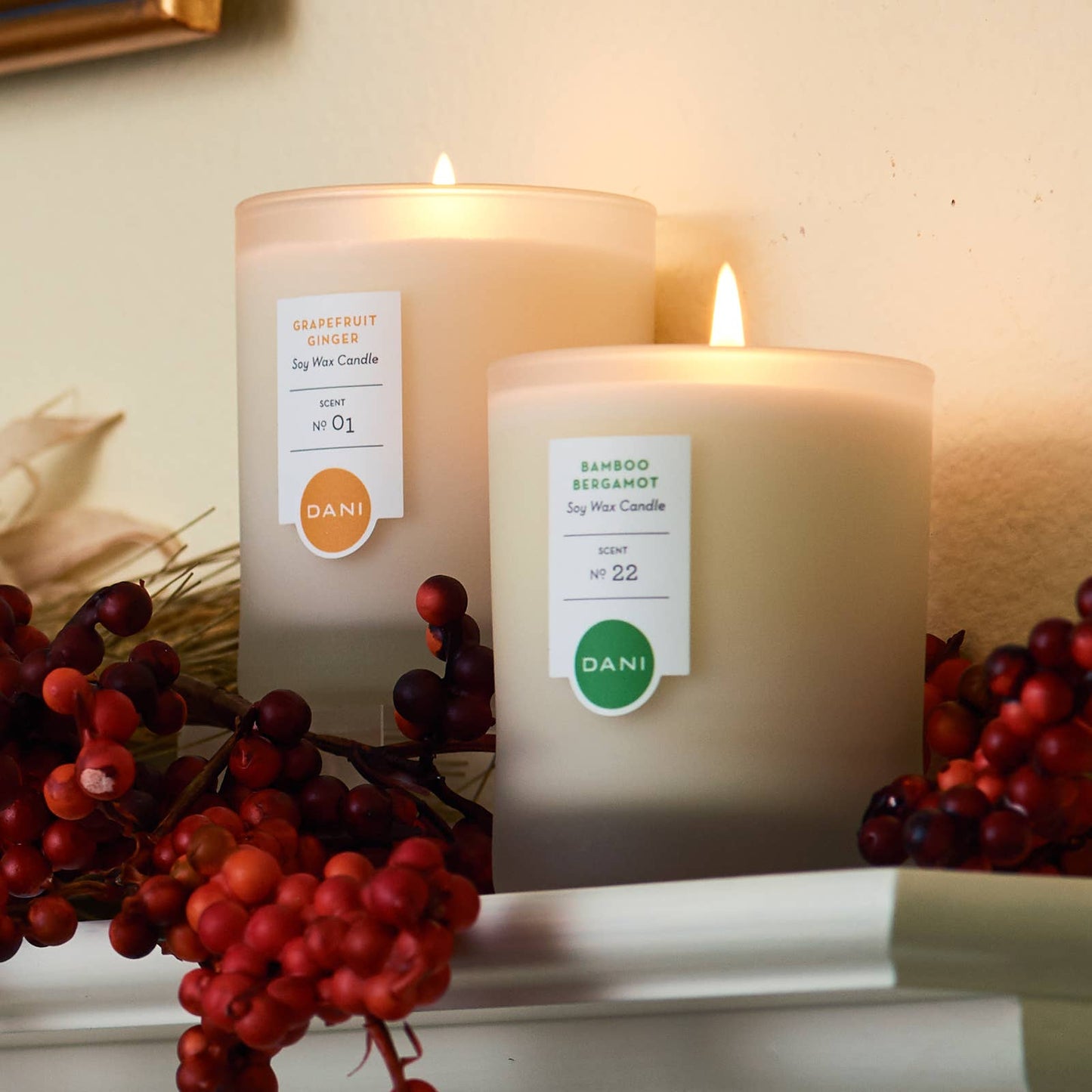 DANI Naturals - Grapefruit Ginger Travel Candle Tin 2oz