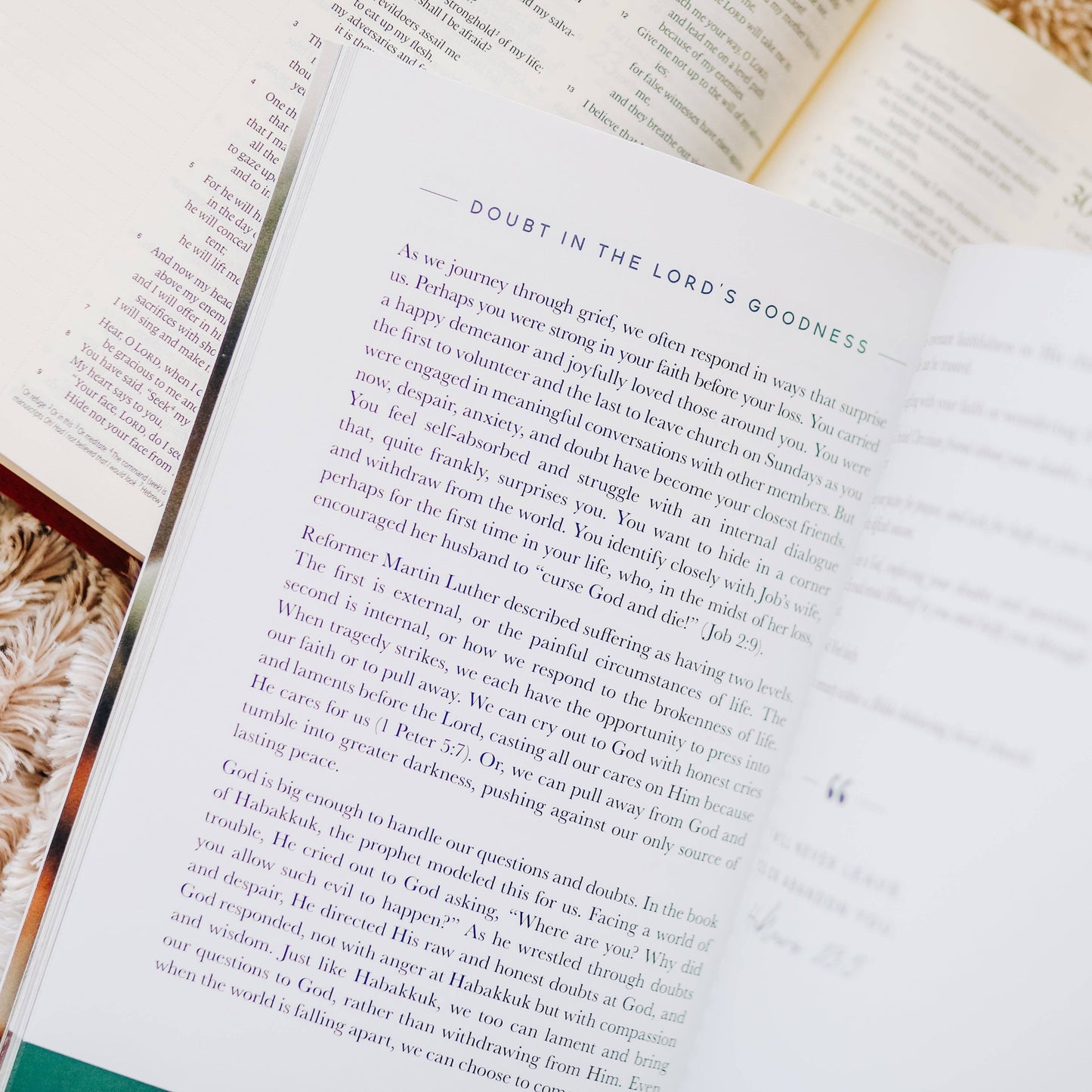 The Daily Grace Co - Gospel Hope in Grief and Loss
