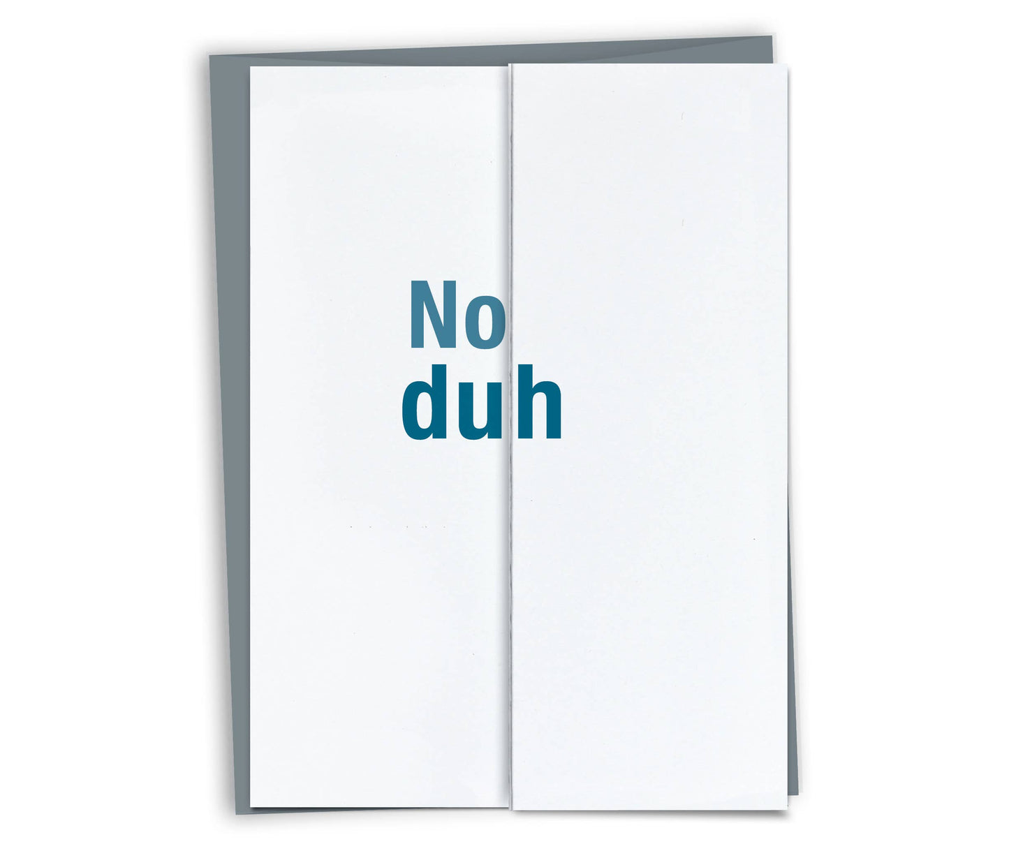FINCH and HARE - No Duh - Funny Birthday Card