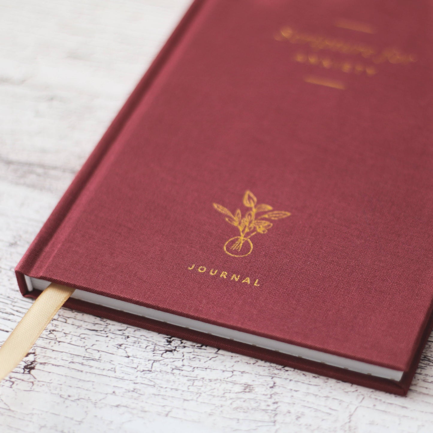 The Daily Grace Co - Scripture for Anxiety Journal