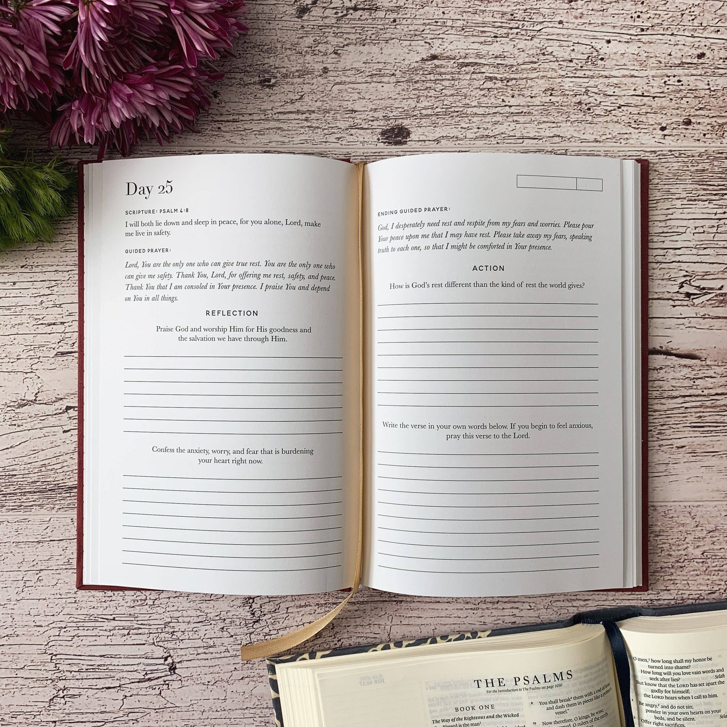 The Daily Grace Co - Scripture for Anxiety Journal