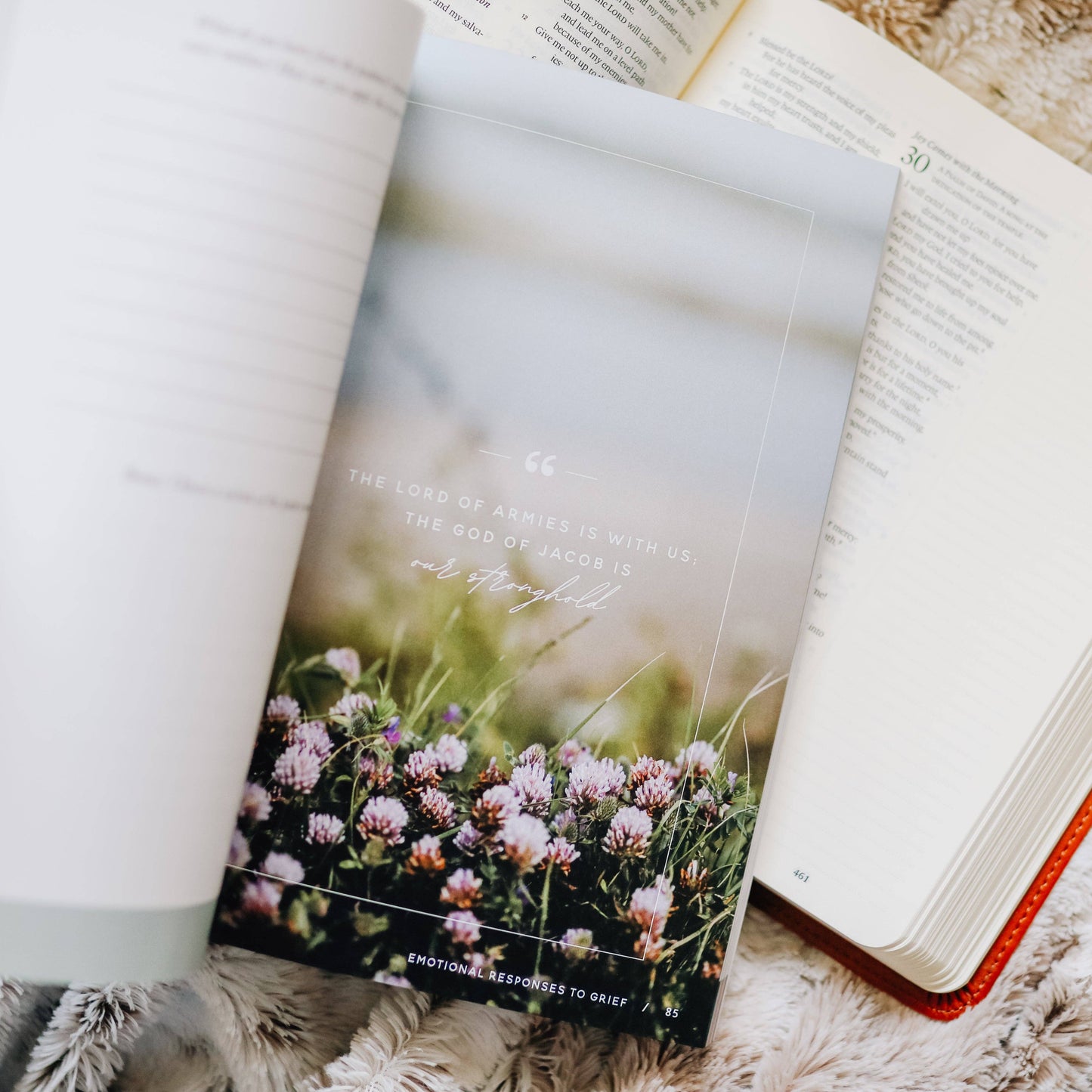 The Daily Grace Co - Gospel Hope in Grief and Loss