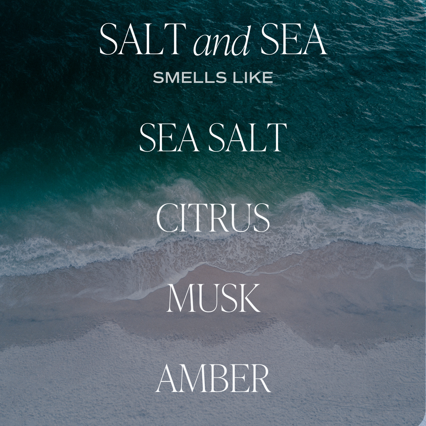 Salt and Sea Sweet Water Decor | 12 oz Soy Candle