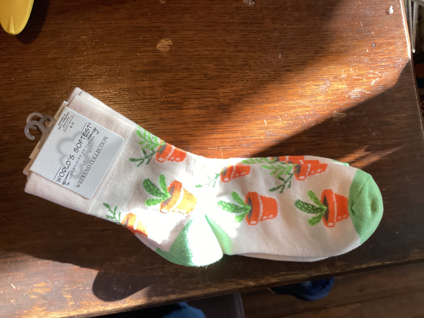 Potted Plant Socks