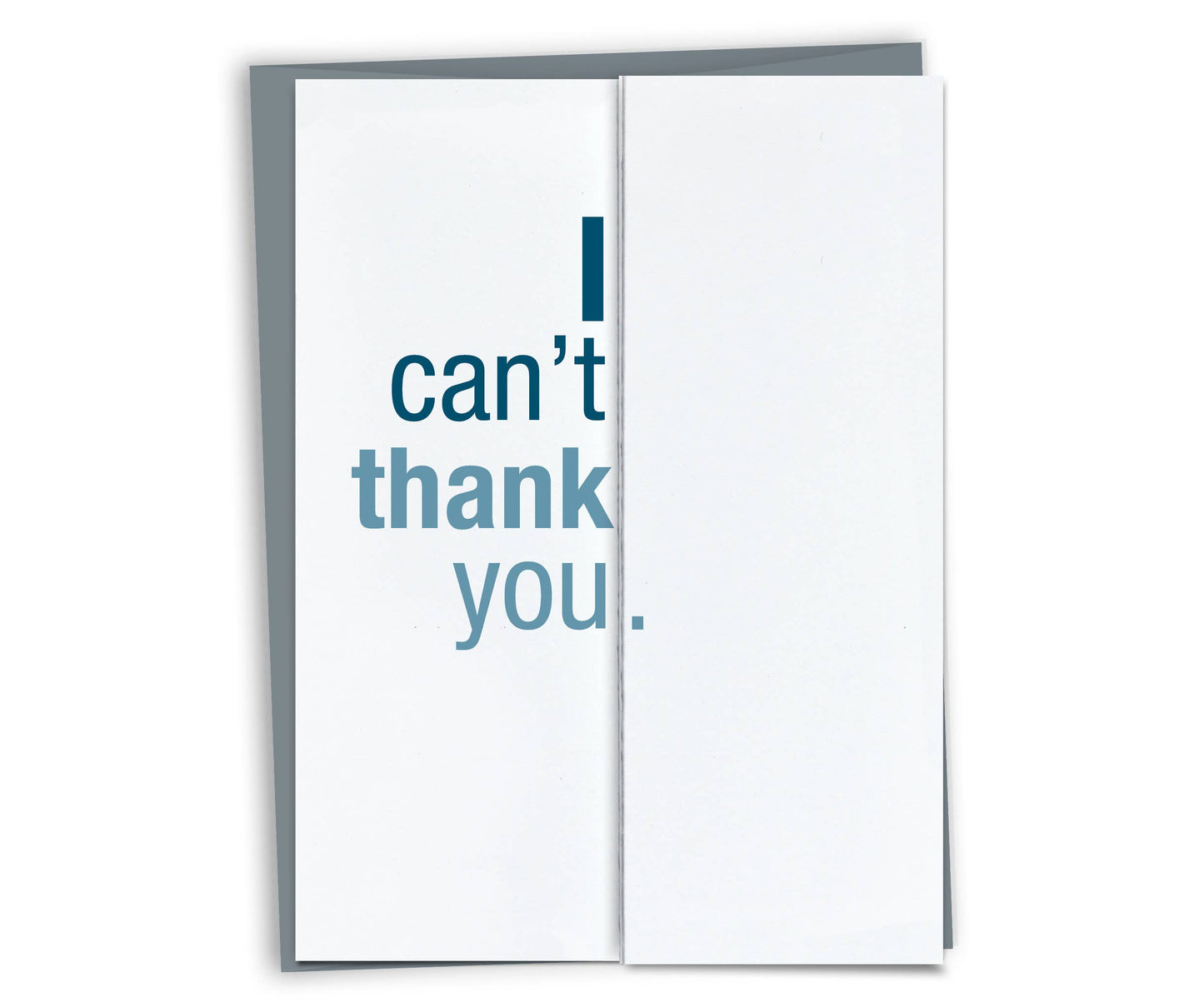 FINCH and HARE - Can't Thank You • Funny Thank You Surprise Fold-out Card