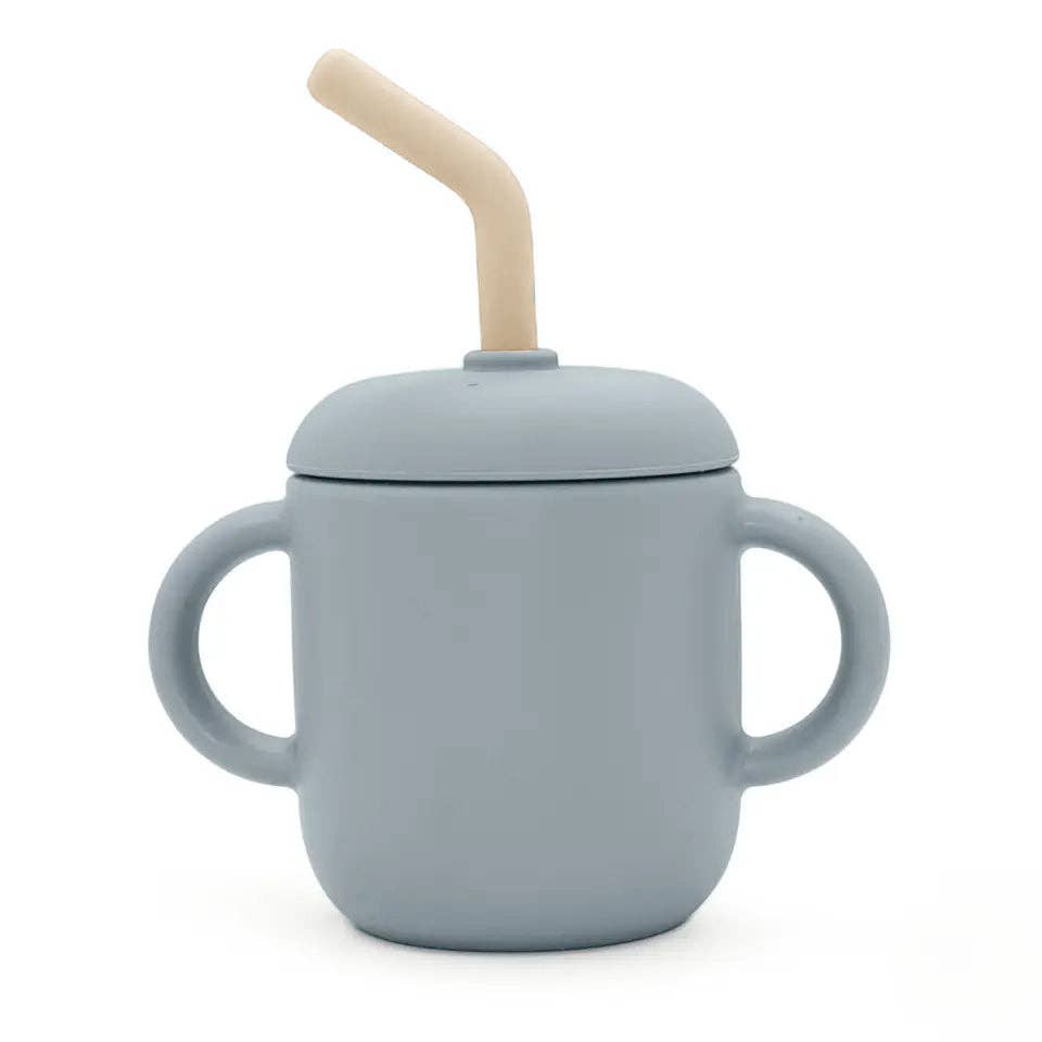 Leo Sippy Cup (6 Oz) | Rose
