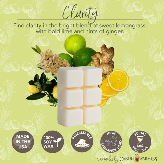 Aromatherapy Essential Oil Wax Melts | 6 Scents