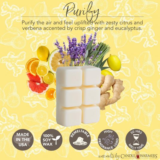 Aromatherapy Essential Oil Wax Melts | 6 Scents