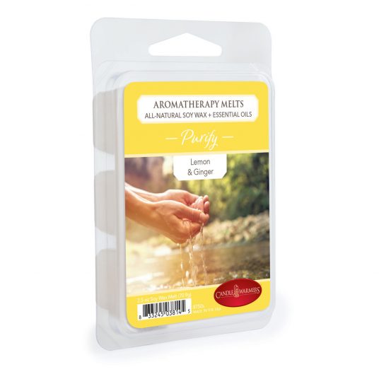Aromatherapy Essential Oil Wax Melts | 6 Scents