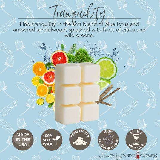 Aromatherapy Essential Oil Wax Melts | 6 Scents