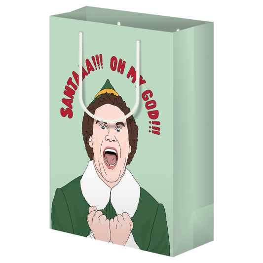Sammy Gorin LLC - Santa OMG Gift Bag