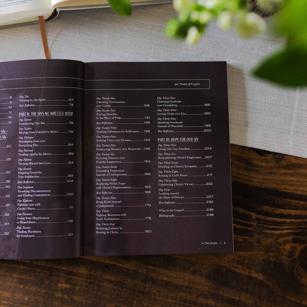 The Daily Grace Co - From Death to Life | 40 Days of Dying to Self and Living for