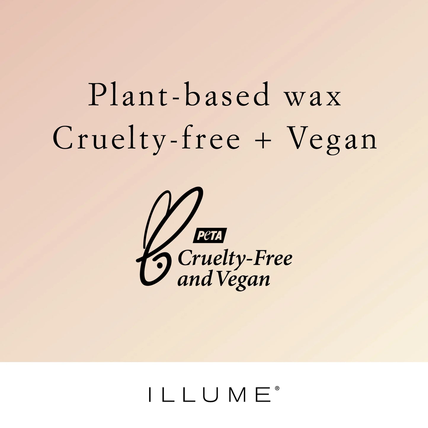 Vanity Tin Candle Sm. | Paloma Petal