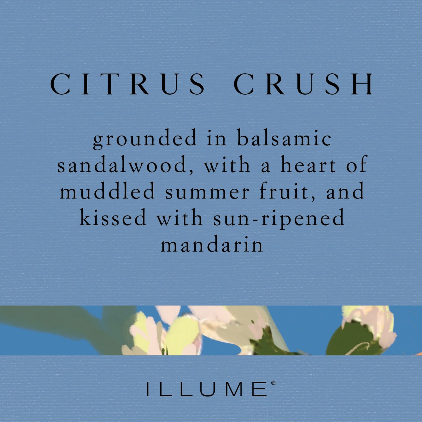 Vanity Tin Candle Sm. | Citrus Crush
