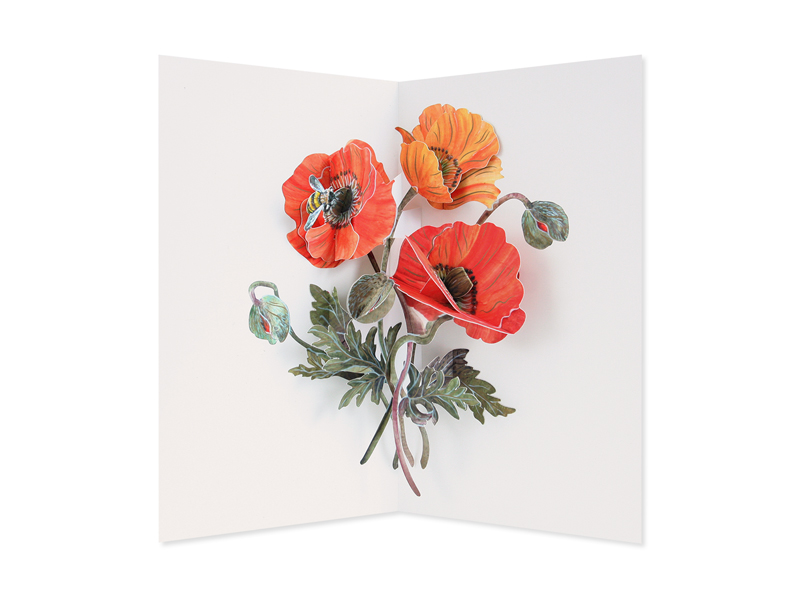 Poppies - Hiromi Takeda - Paper Artisan Series