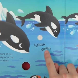 Arctic Animals Sound Book