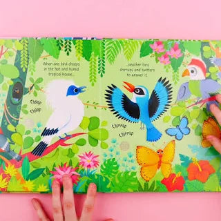 Zoo Sounds Book