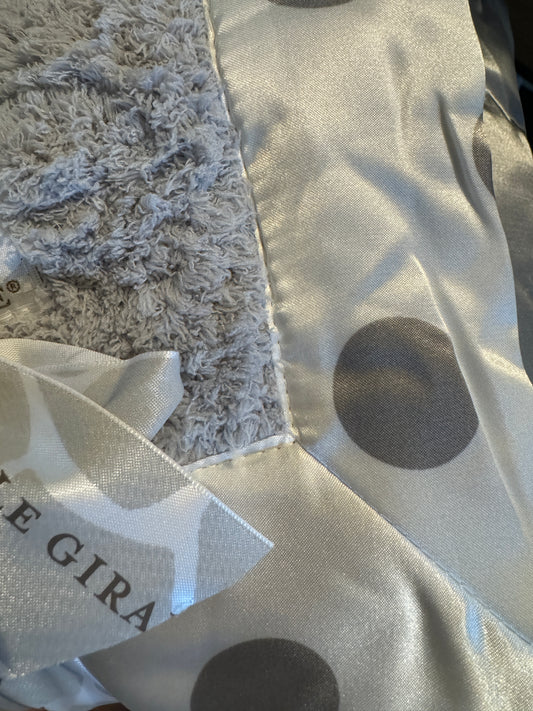 Satin Micro Pillow + Silver Dot Lovey Set