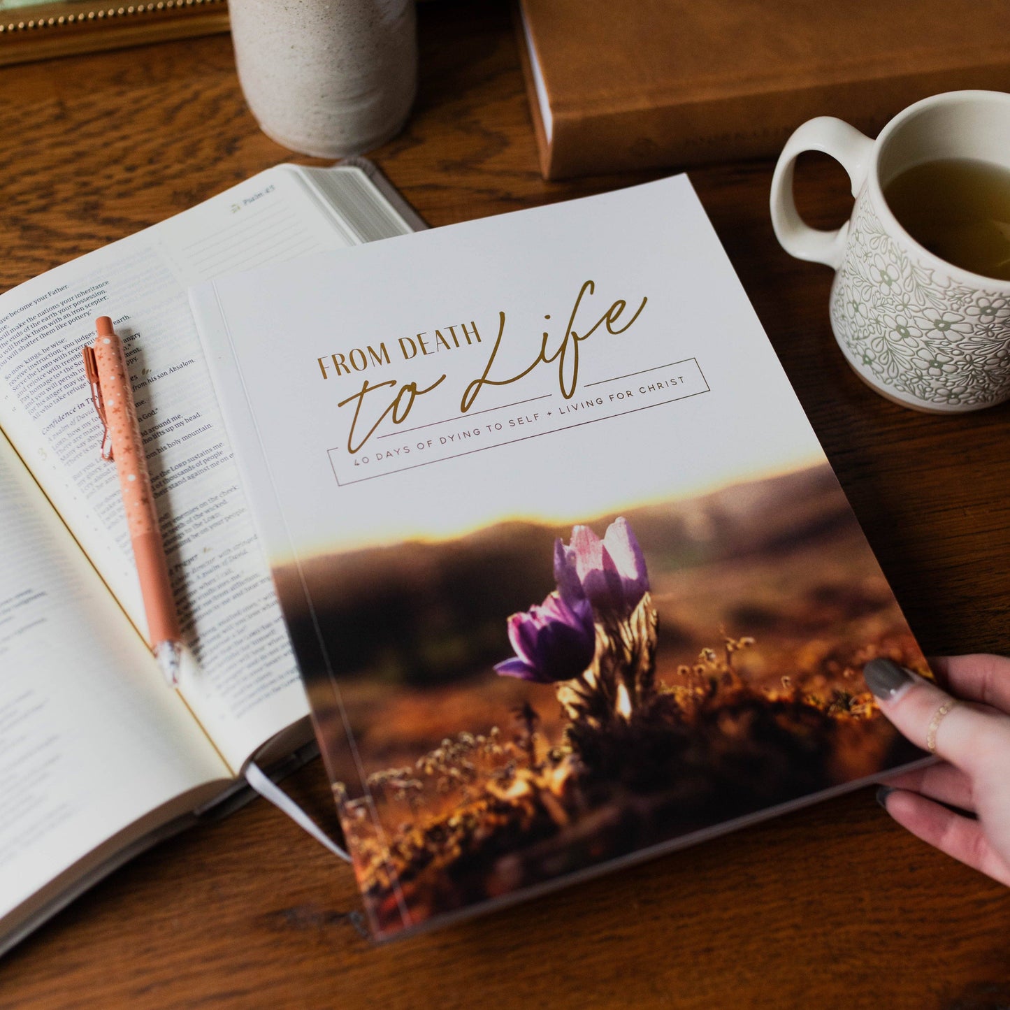 The Daily Grace Co - From Death to Life | 40 Days of Dying to Self and Living for