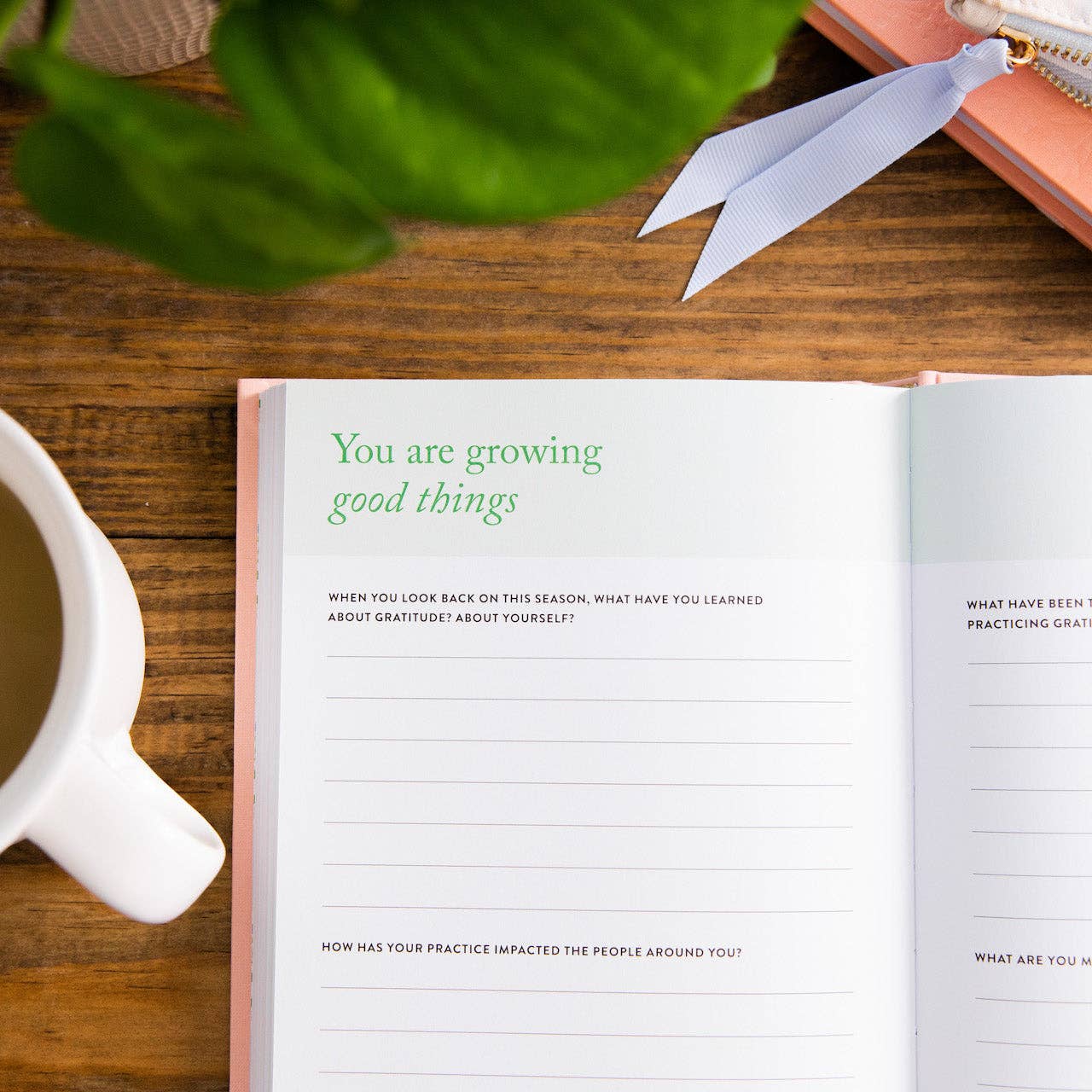 The Daily Grace Co - Gratitude Journal