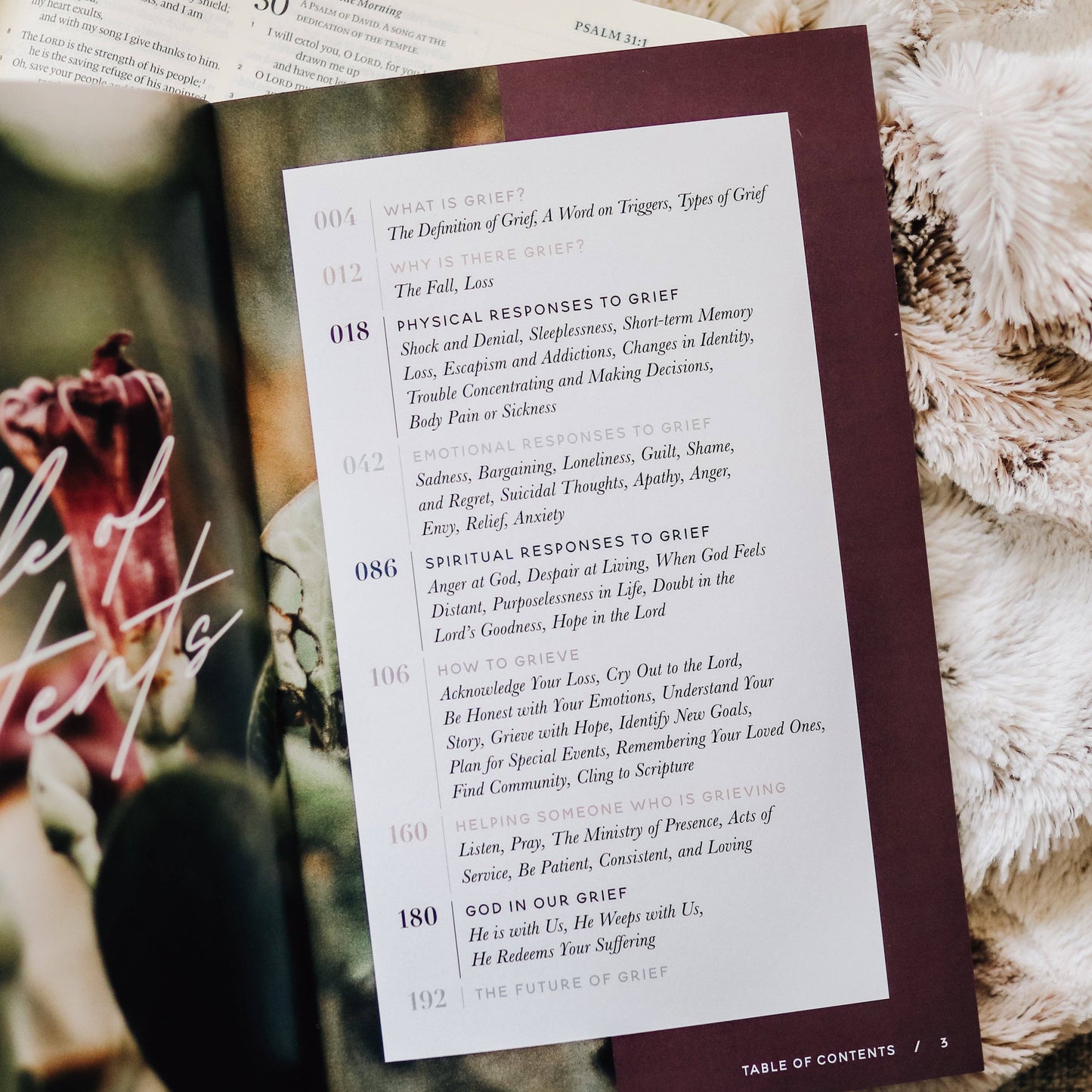 The Daily Grace Co - Gospel Hope in Grief and Loss
