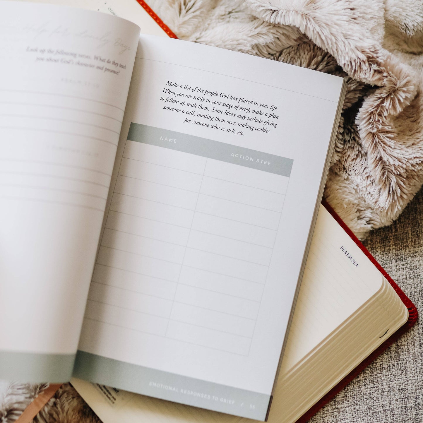 The Daily Grace Co - Gospel Hope in Grief and Loss