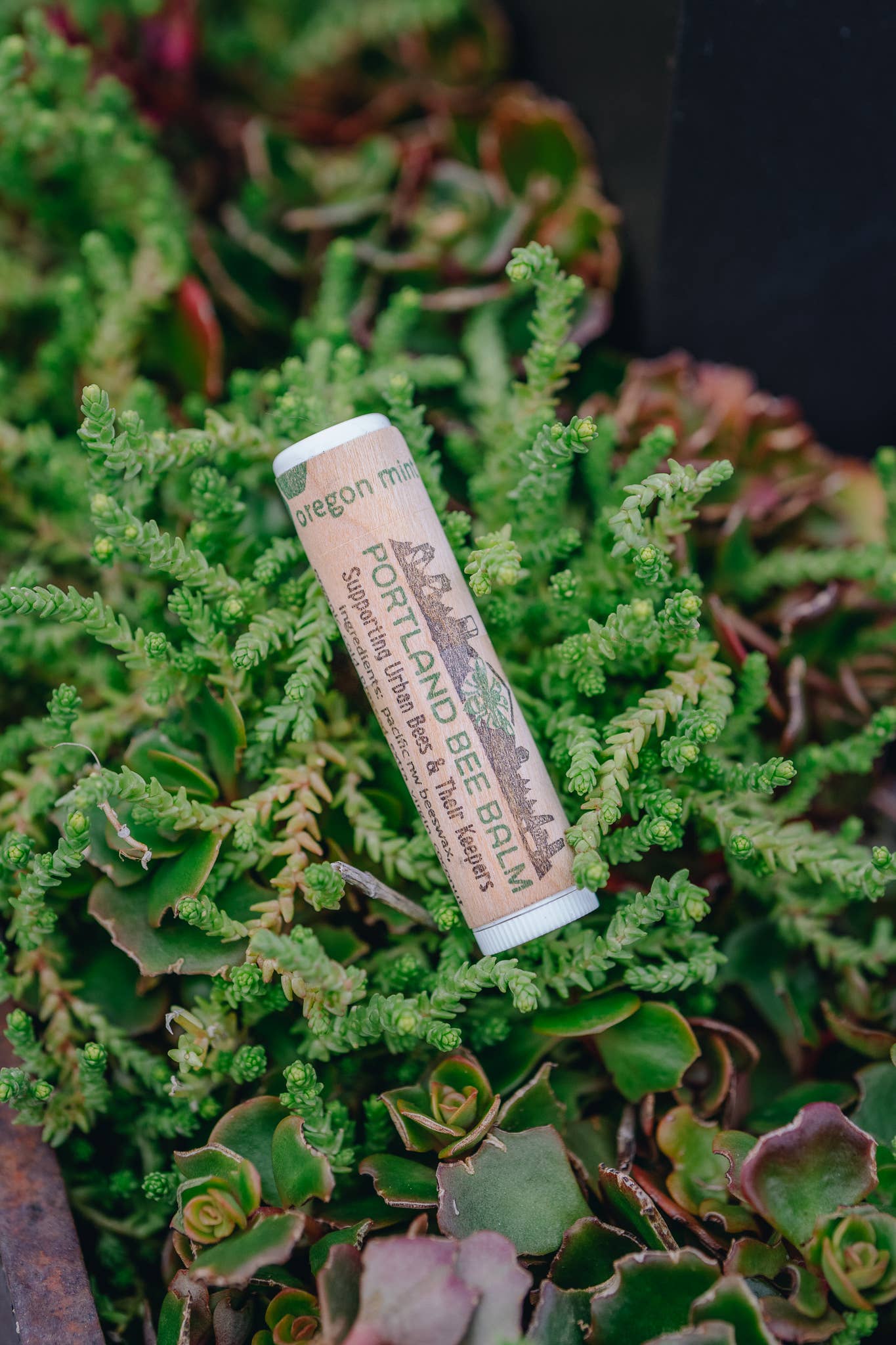 Portland Bee Balm - Oregon Mint Beeswax Lip Balm - Organic w/ Shelf Display