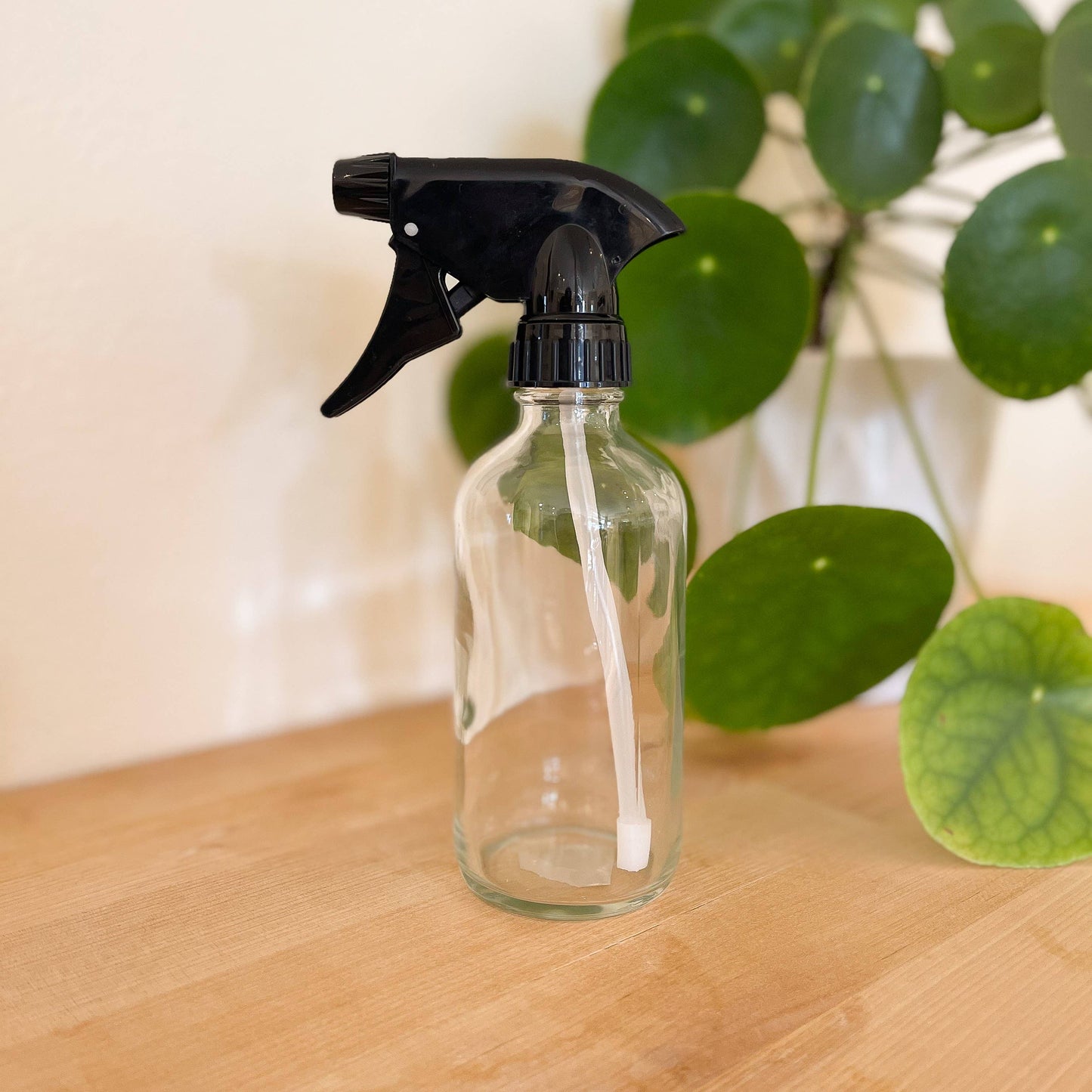 Re:Plenish Zero Waste - 8 oz Clear Glass Bottle Spray or Pump