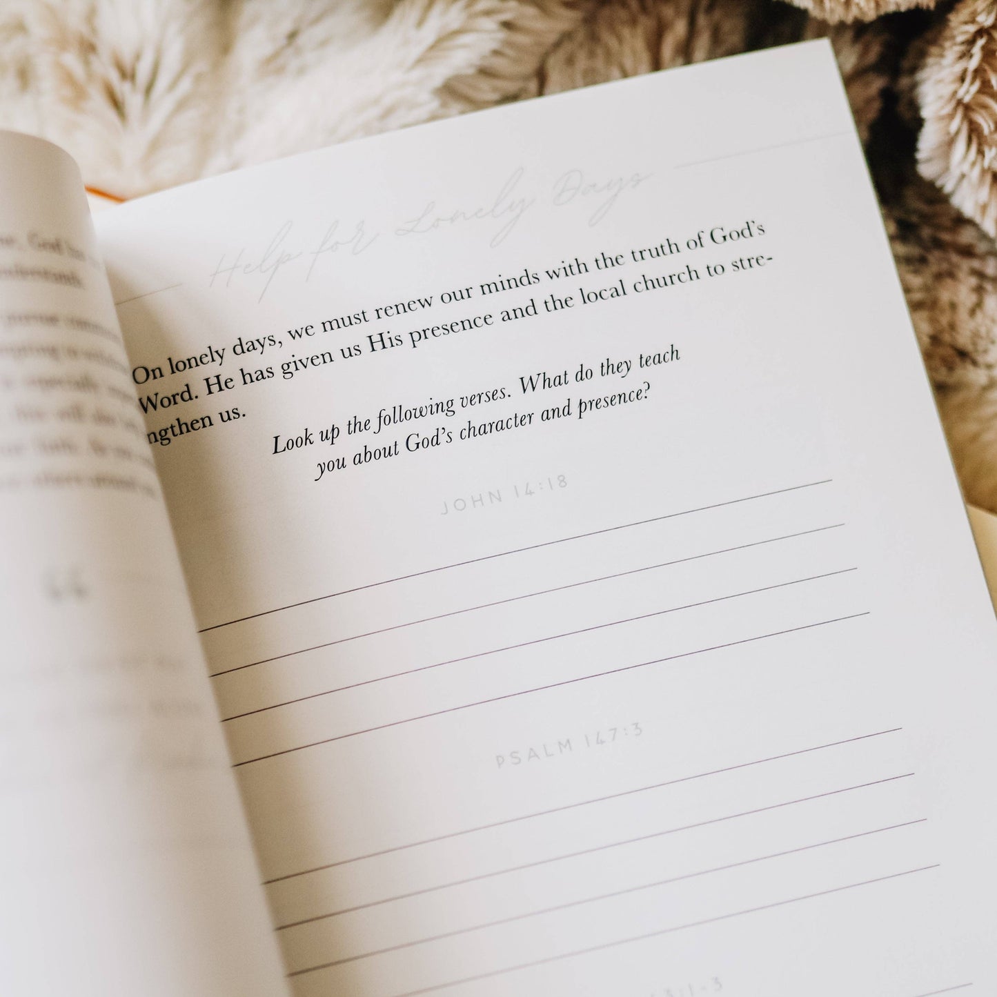 The Daily Grace Co - Gospel Hope in Grief and Loss