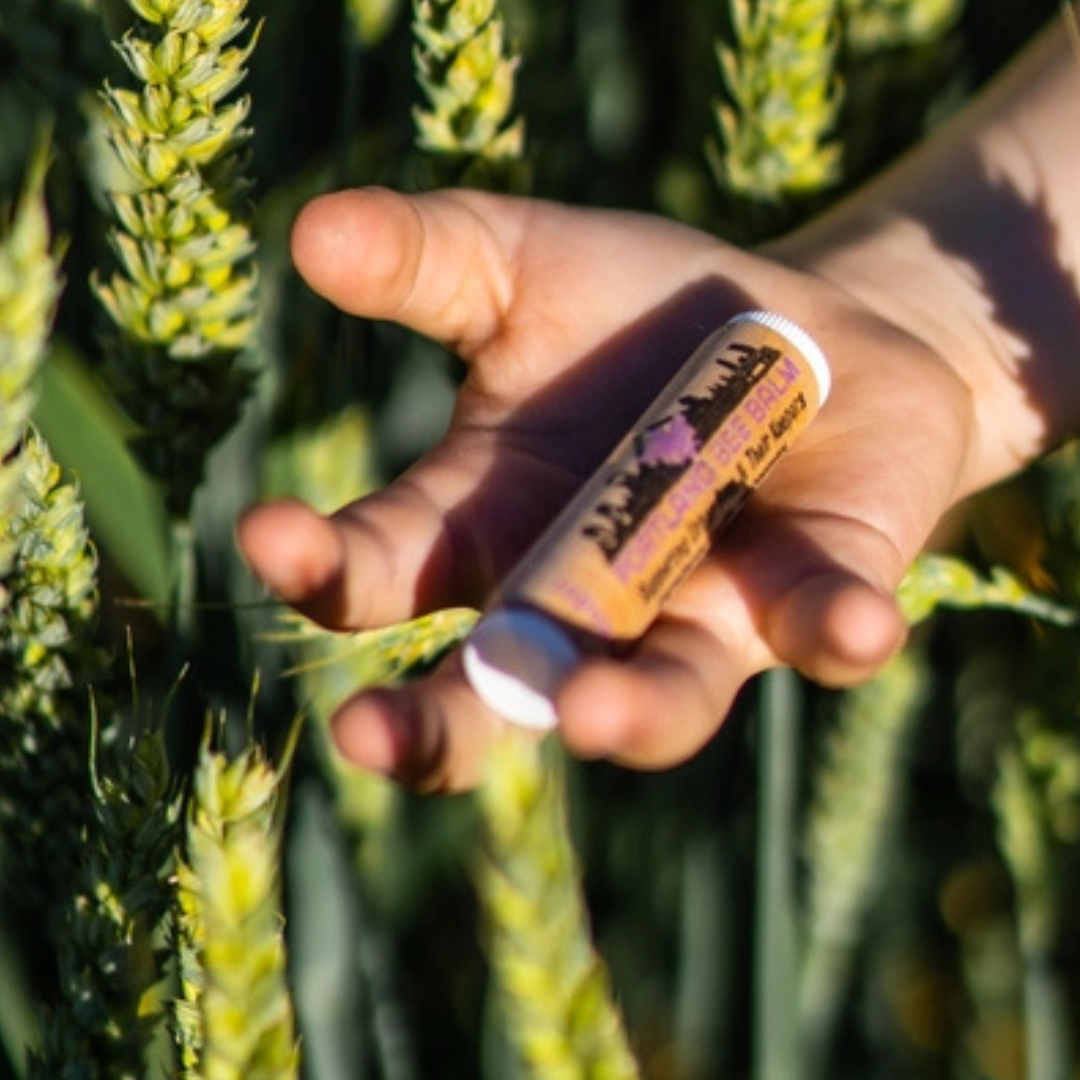 Portland Bee Balm - Lavender Organic Beeswax Lip Balm: 24-Count Display
