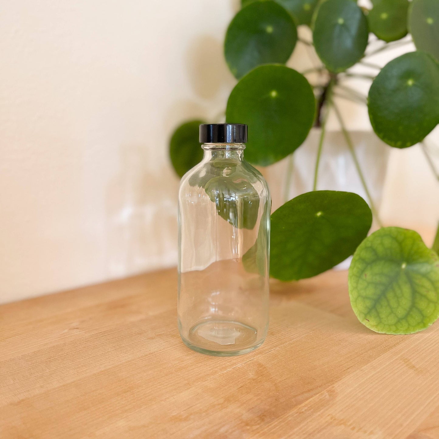 Re:Plenish Zero Waste - 8 oz Clear Glass Bottle Spray or Pump