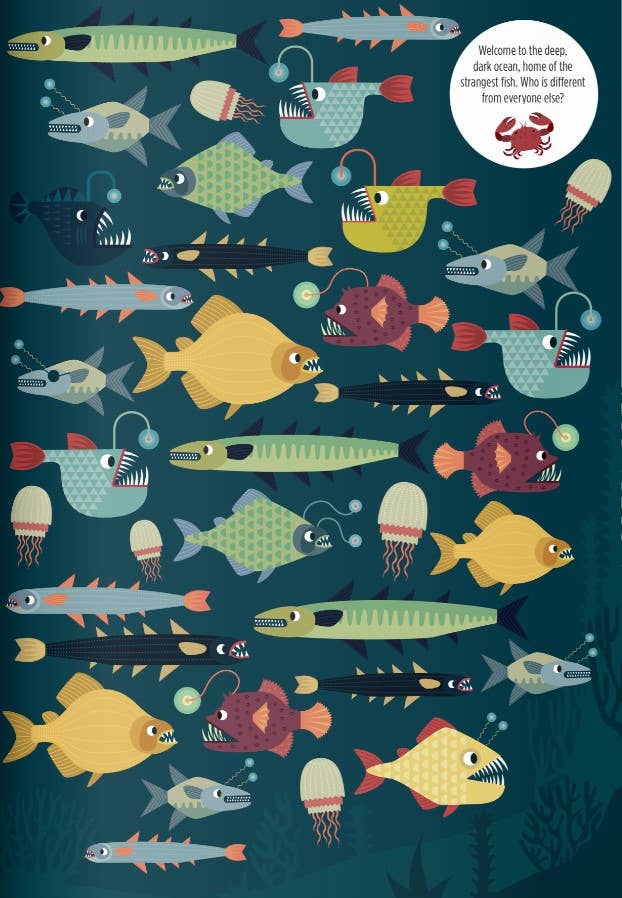 Find Me! Ocean | Activity Book