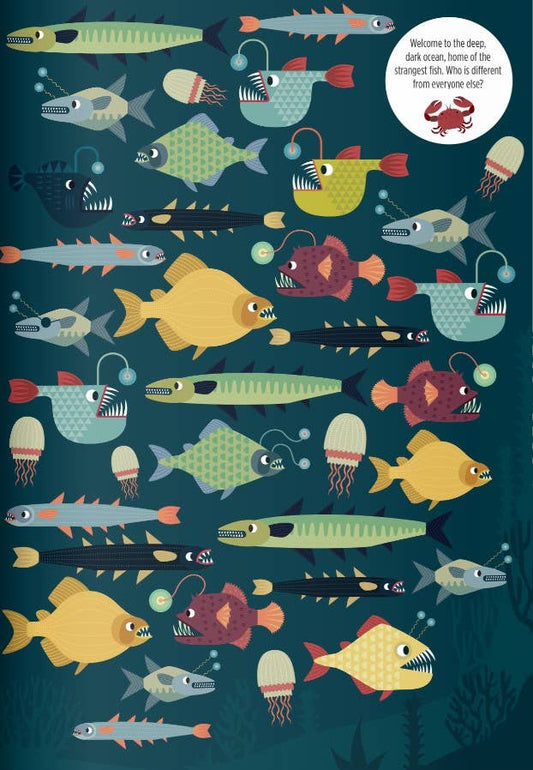 Find Me! Ocean | Activity Book