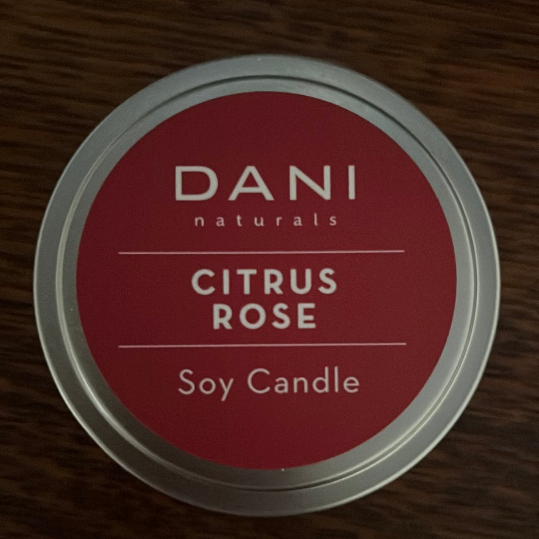 Dani Naturals 6 oz Soy Candle Tins | 7 Scents