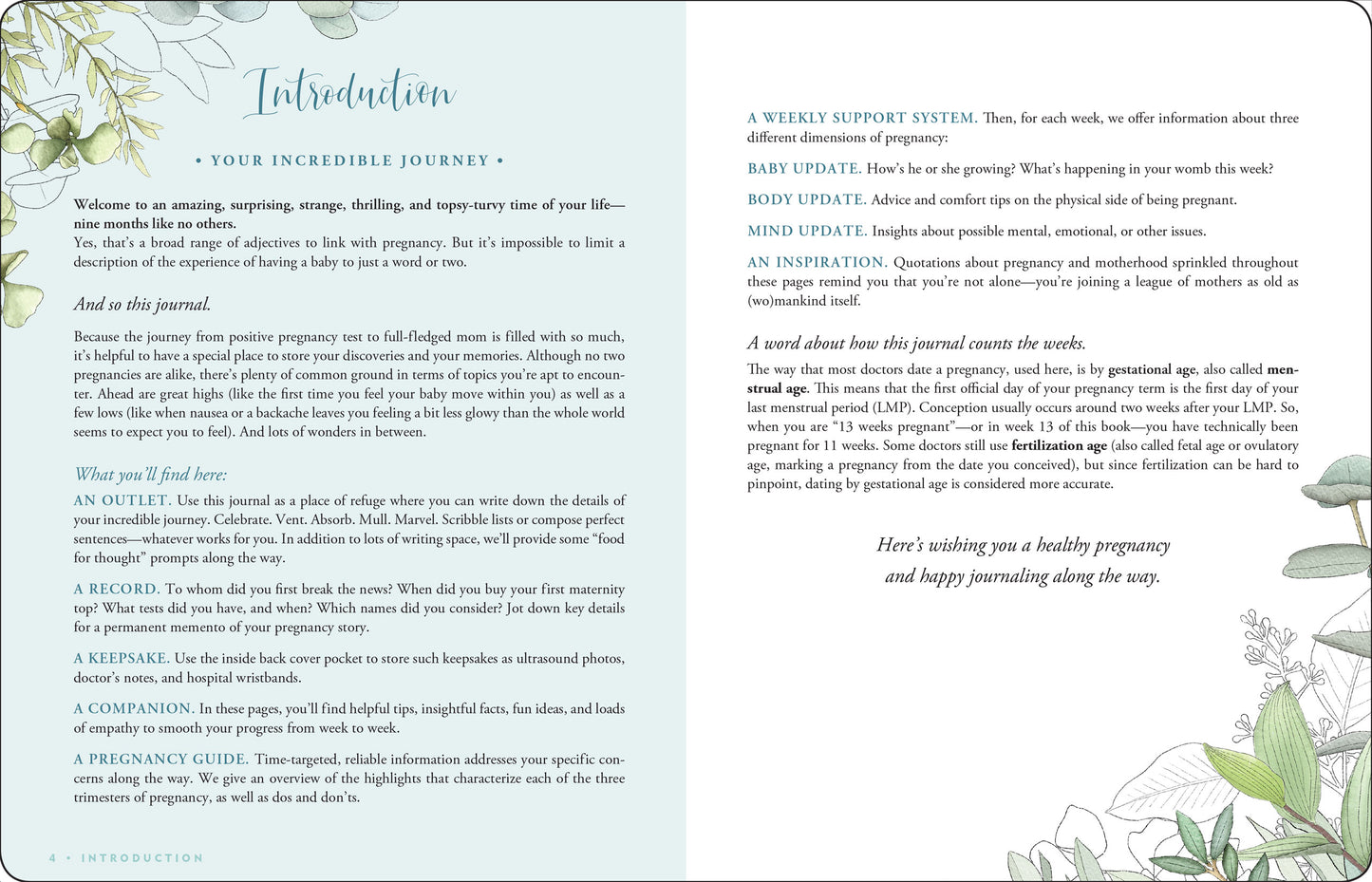 Pregnancy Journal