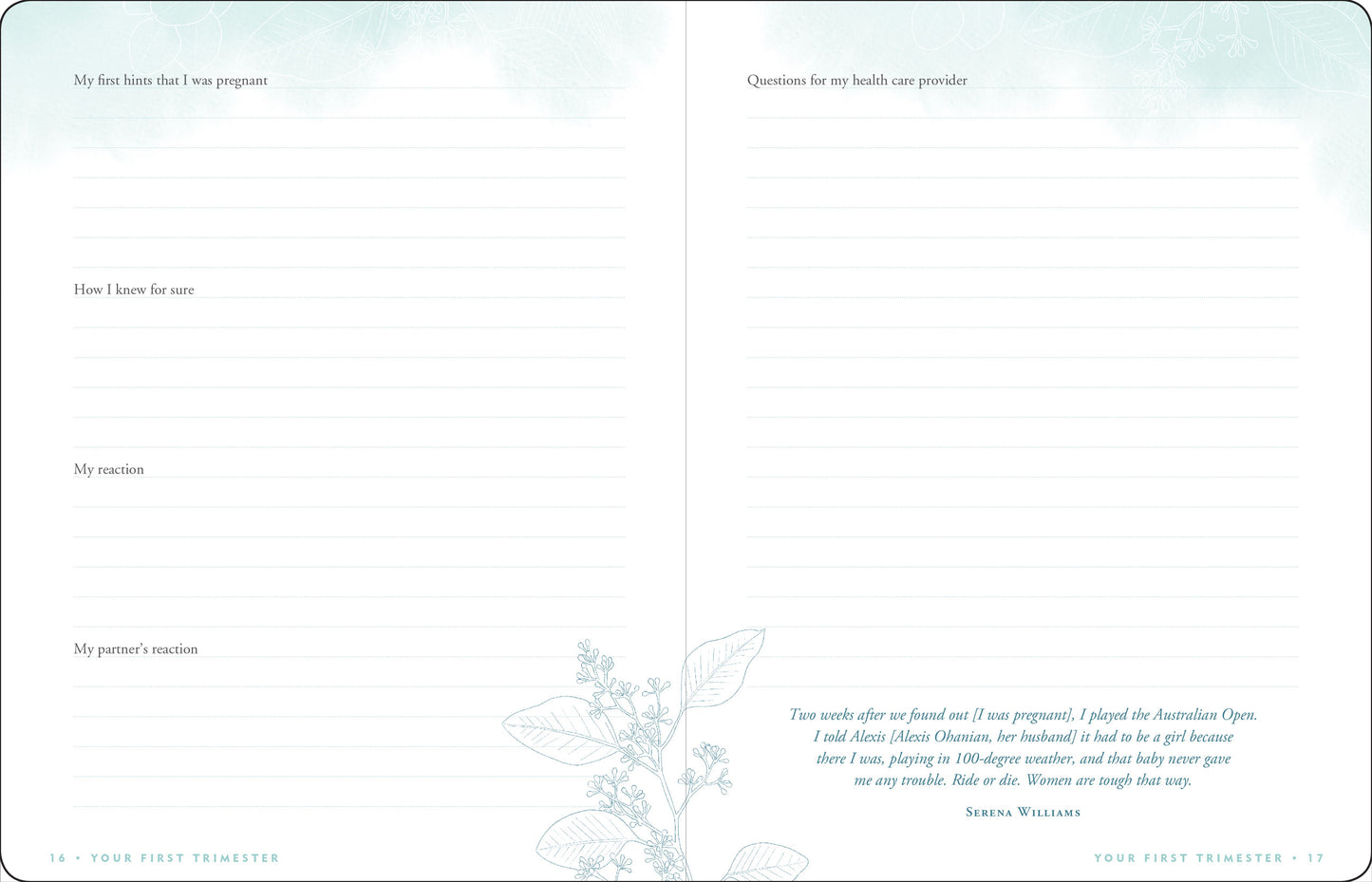Pregnancy Journal