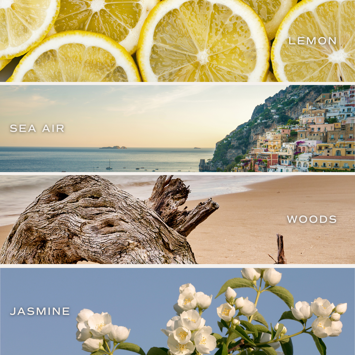 Coastal Lemon 12 oz Soy Candle - Home Decor and Gifts