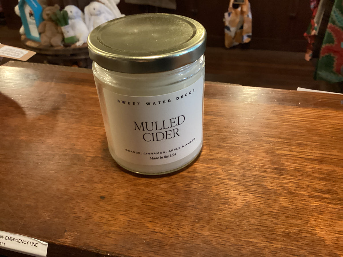 Mulled Cider 11 oz Soy Candle - Fall Decor & Gifts
