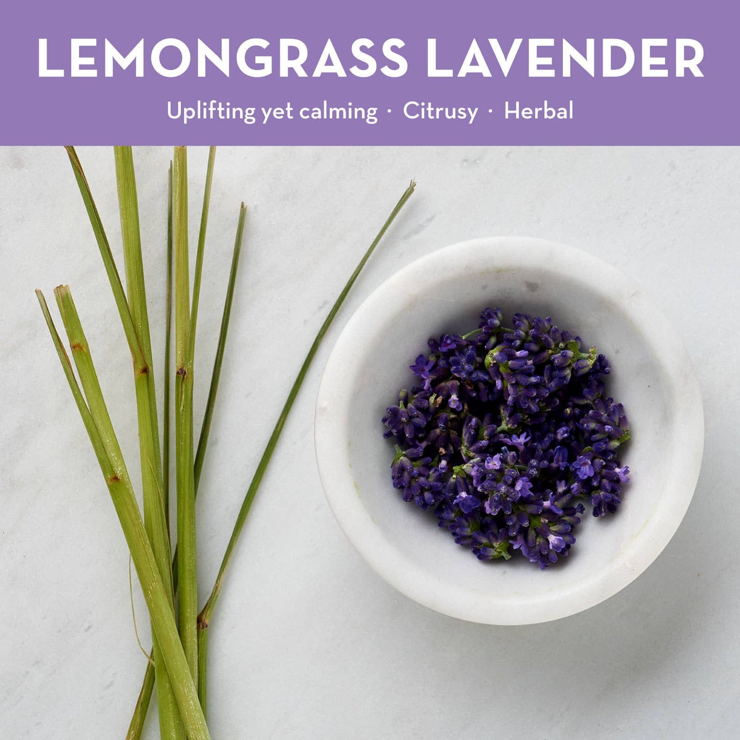 7.5oz Glass Candle, Lemongrass Lavender