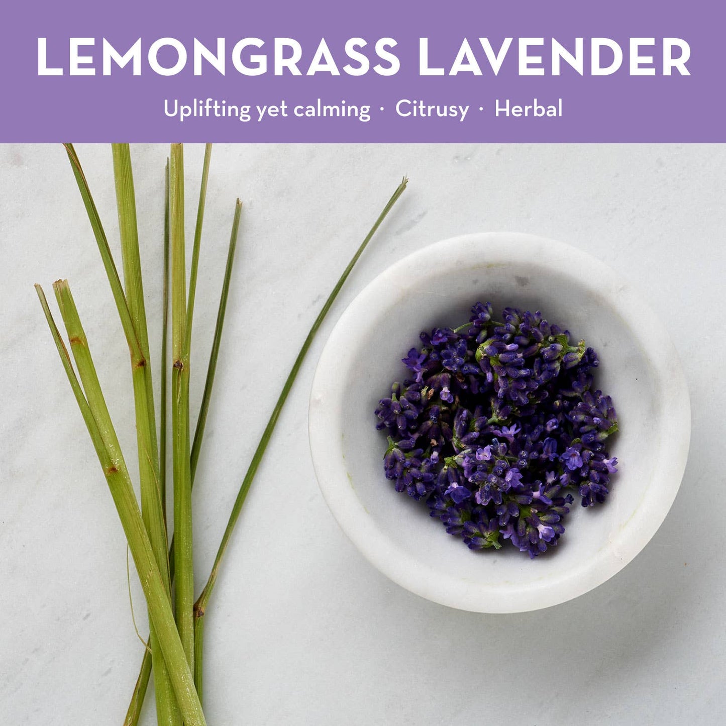 2oz Lemongrass Lavender Travel Candle Tin