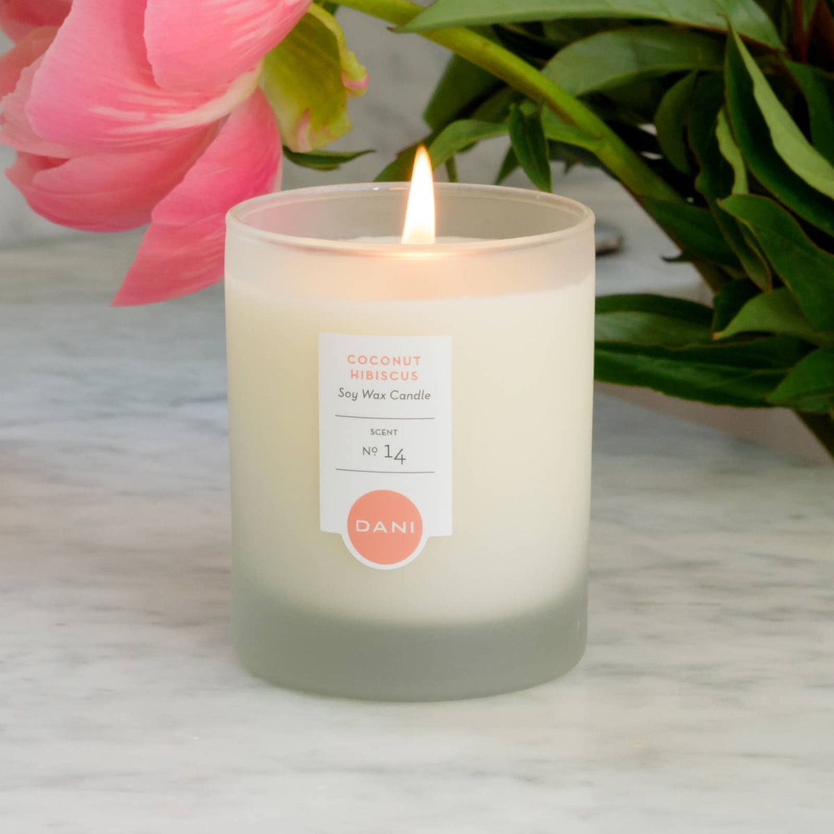 DANI Naturals - 6oz Coconut Hibiscus Candle Tin