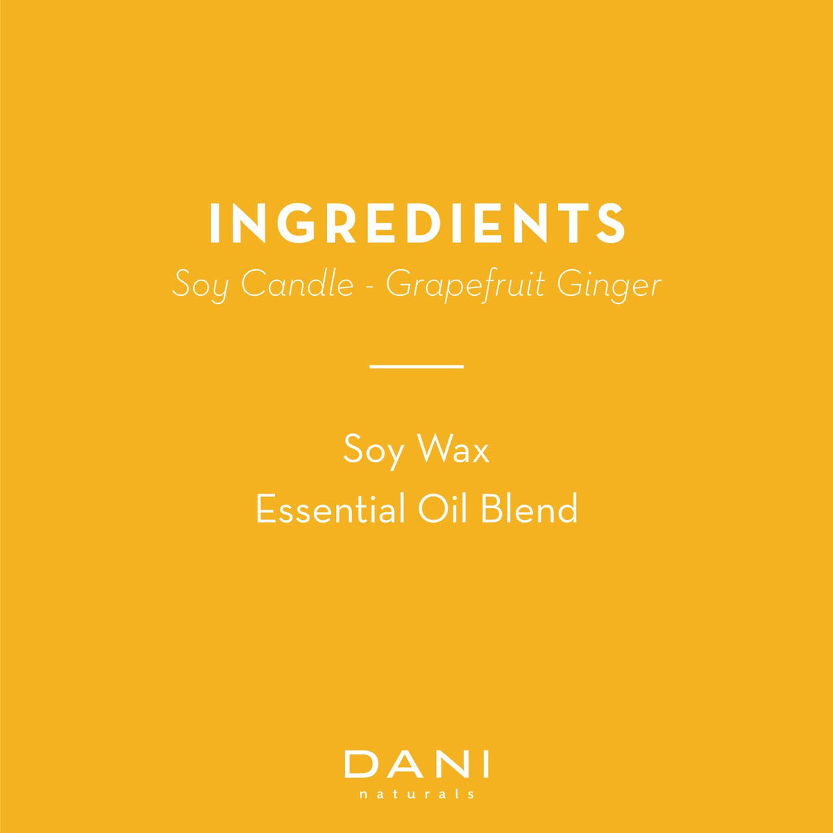 DANI Naturals - Grapefruit Ginger Travel Candle Tin 2oz