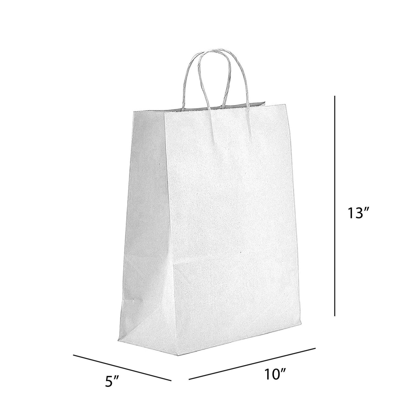 PTP BAGS - Natural/White Paper Bag - 10 x 5 x 13 (250 Pack)