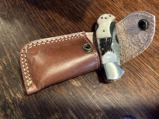 Pocket Knife with Cover (Light)