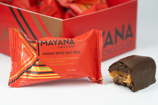 Mayan Spice Bar Mini