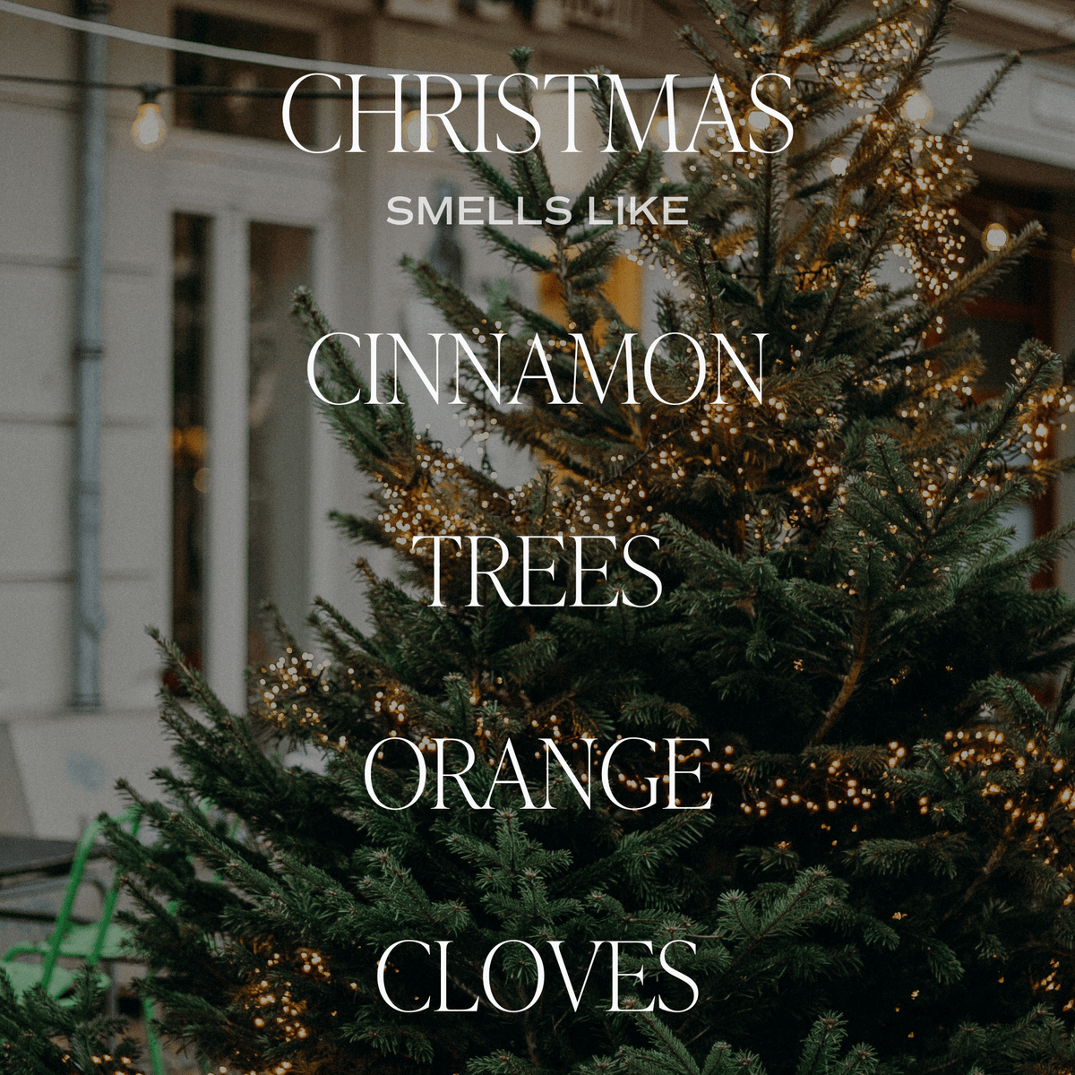 Soy Christmas Candles
