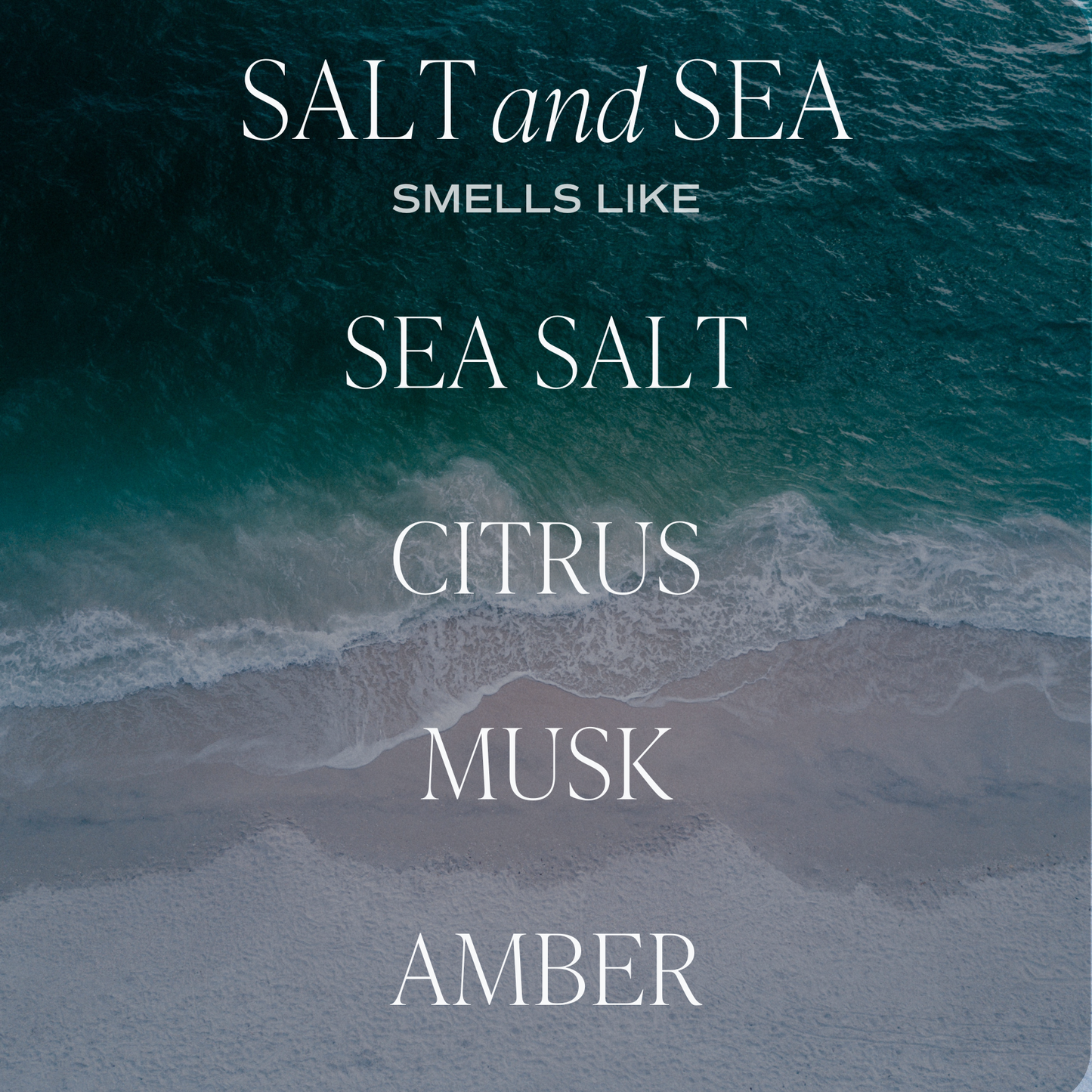 Salt and Sea Sweet Water Decor | 12 oz Candle